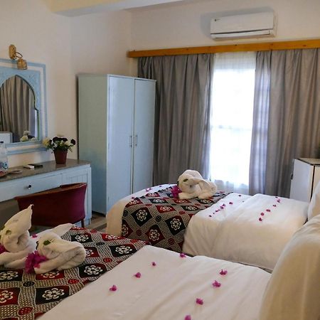 El Gezira Hotel Λούξορ Εξωτερικό φωτογραφία